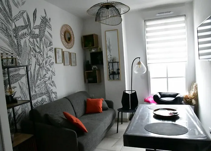 Studio Neuf A Louer A Dinard 3 Nuits Minimum